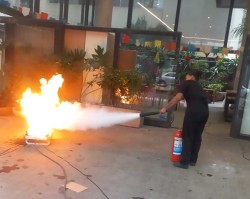 Treinamento Brigada de incêndio em São Paulo Teobaldo Serviços